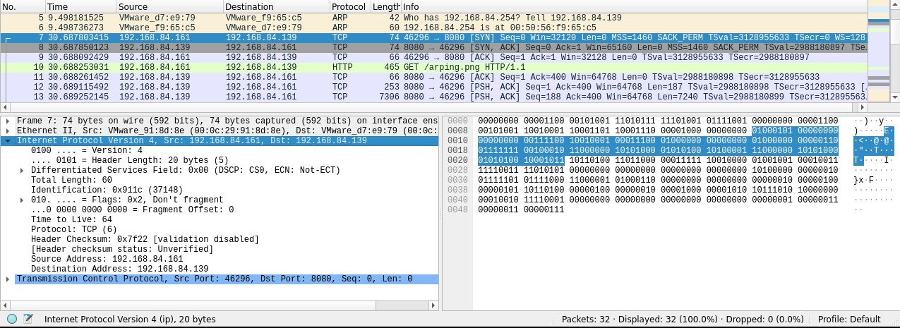 IP packet in wireshark