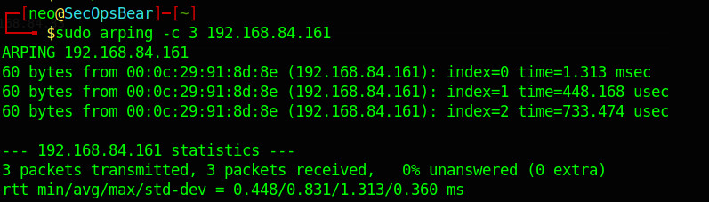 arping to host 161